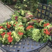 Frisch gebundene Herbstkränze (Dekoration, Landhaus)